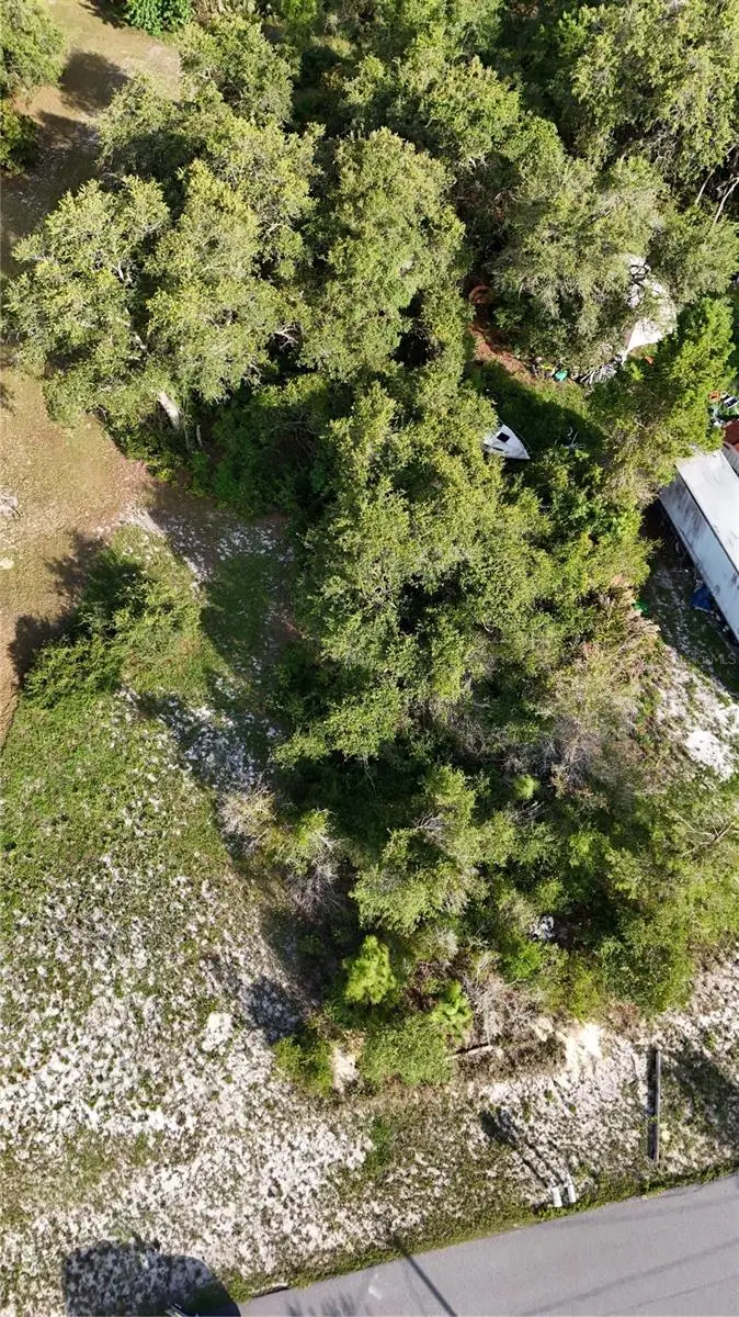 31324 Benton Drive, Eustis, FL 32736 - Image #2