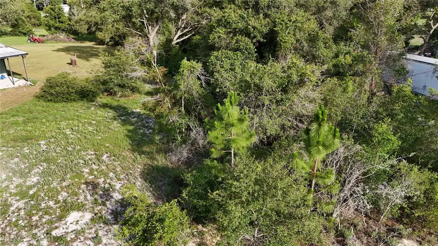 31324 Benton Drive, Eustis, FL 32736 - Image #3