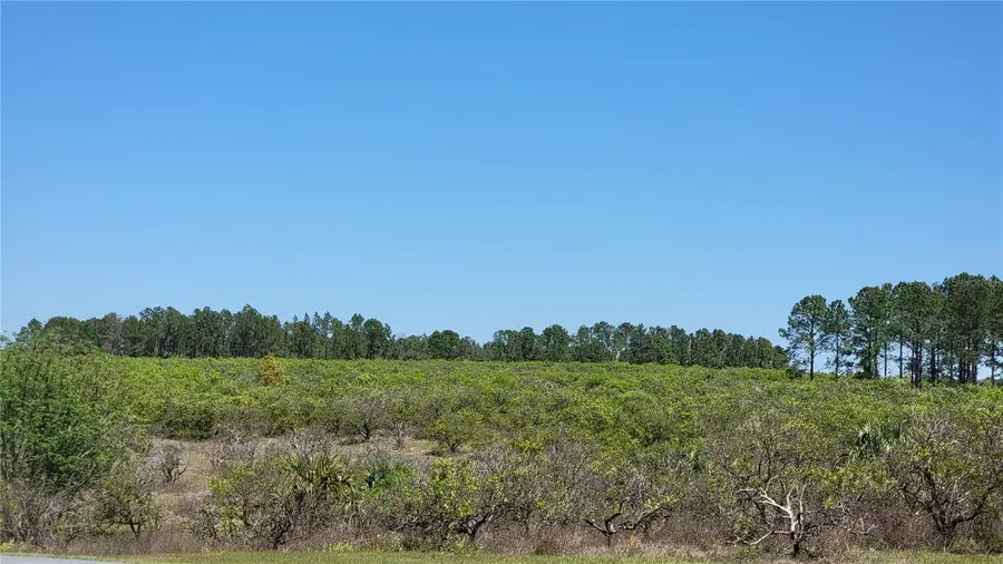0 Thrill Hill Road, Eustis, FL 32736 - Image #3
