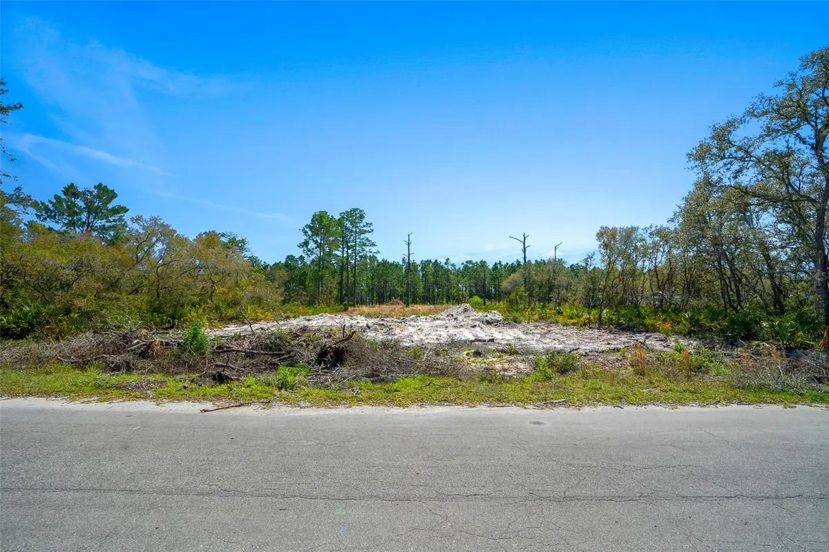 Address Withheld By Seller, Ocklawaha, FL 32179 - Image #1