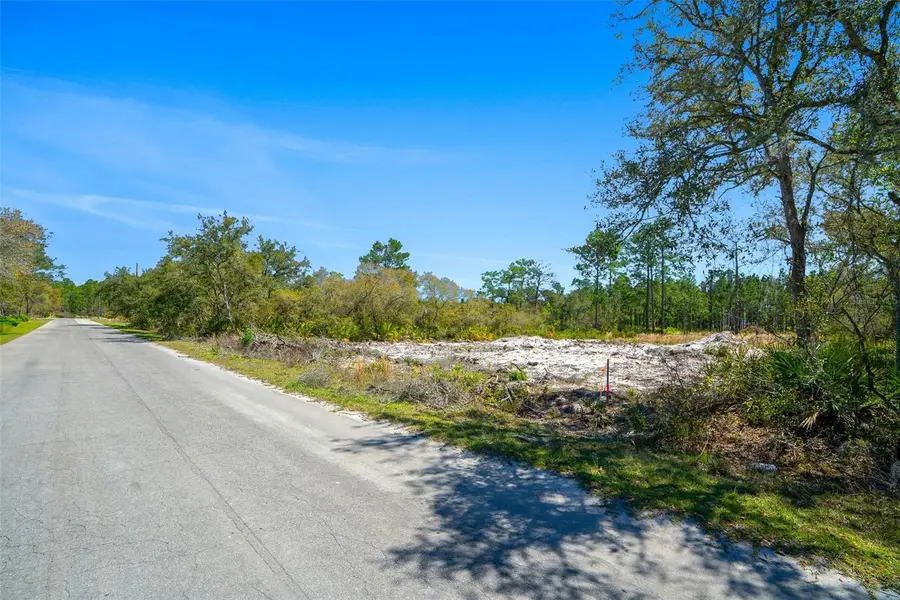 Address Withheld By Seller, Ocklawaha, FL 32179 - Image #2