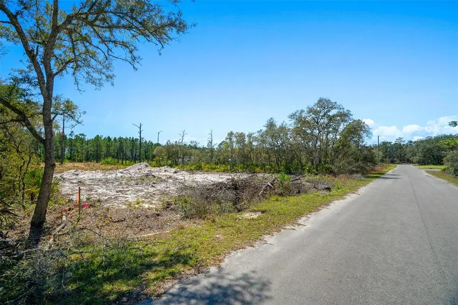 Address Withheld By Seller, Ocklawaha, FL 32179 - Image #3