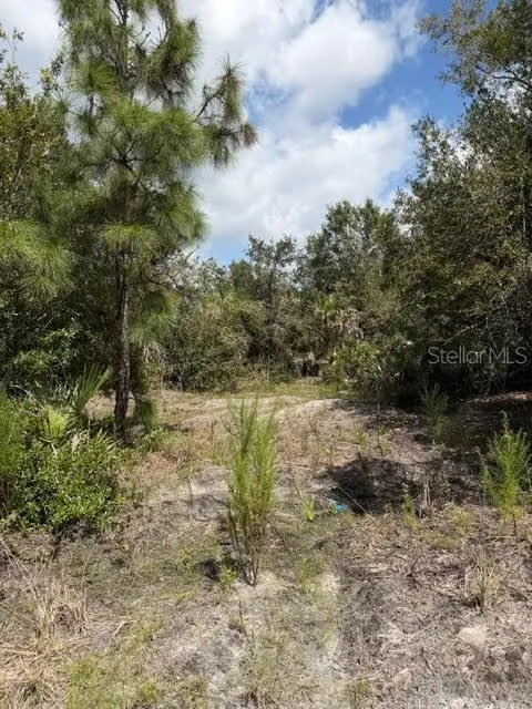 5425 Jacaranda Drive, Punta Gorda, FL 33982 - #3