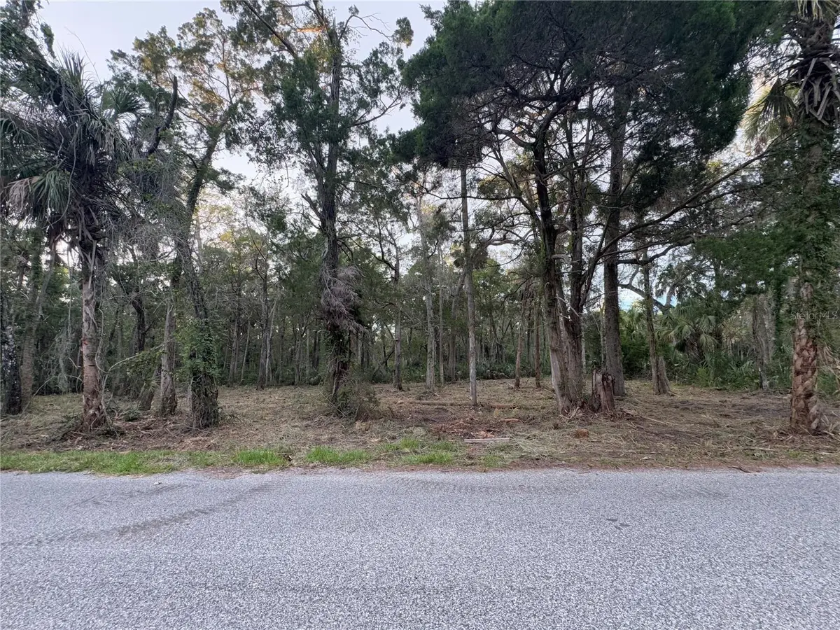 11905 W Eldred Lane, Homosassa, FL 34448 - Image #1