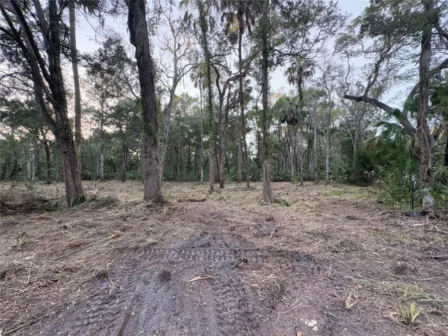 11905 W Eldred Lane, Homosassa, FL 34448 - Image #2