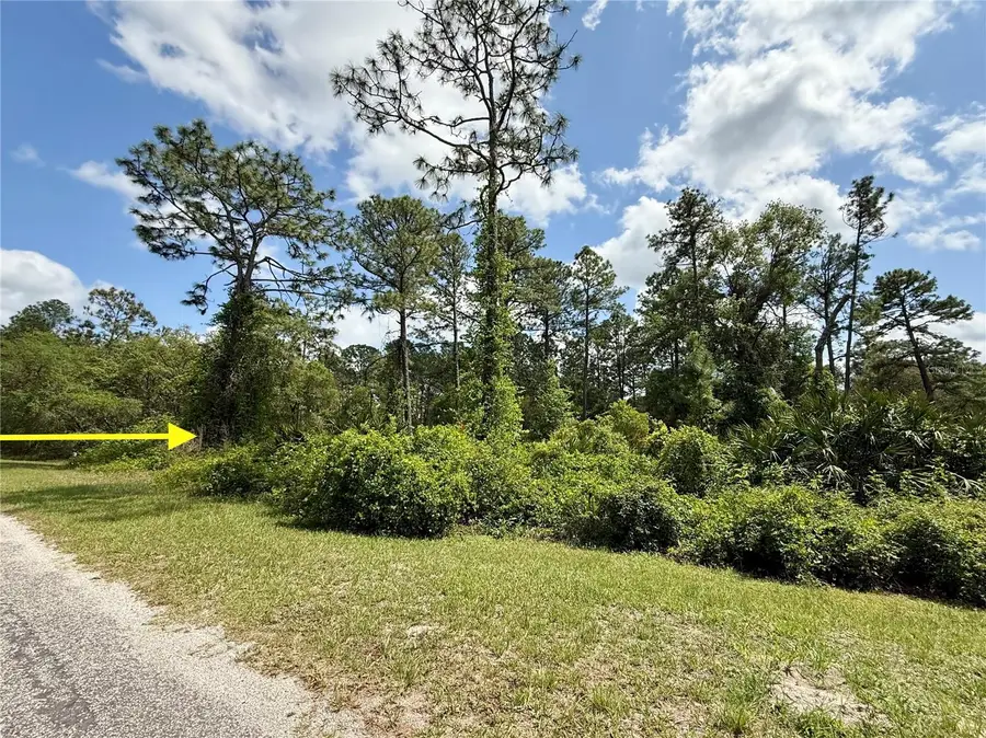 LOT 2 Quince Avenue, Eustis, FL 32736 - Image #2