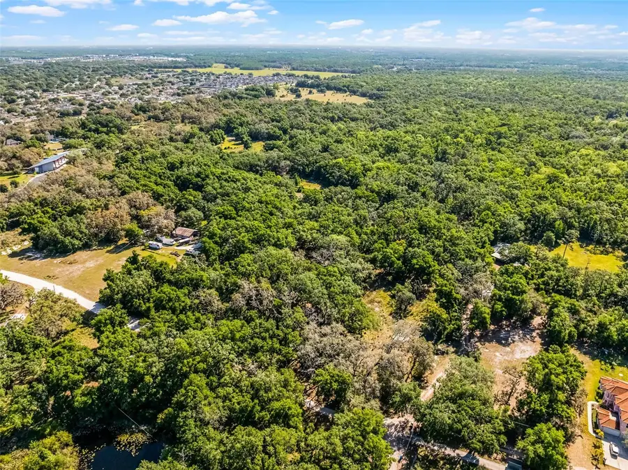 3633 Panther Path Road, Lutz, FL 33559 - Image #2