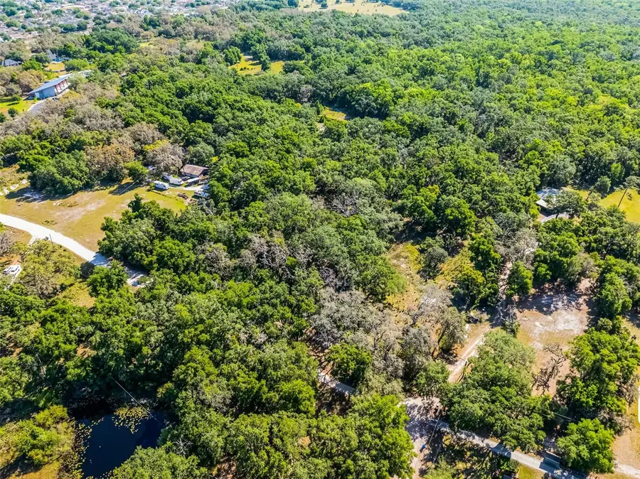 3633 Panther Path Road, Lutz, FL 33559 - Image #3