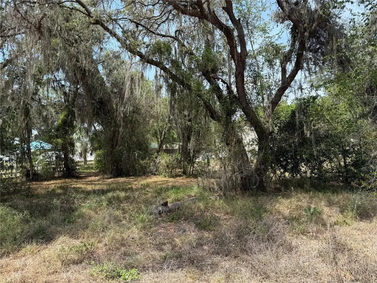 Vacant Land NW 8th Trail, Lake Panasoffkee, FL 33538 - Image #1