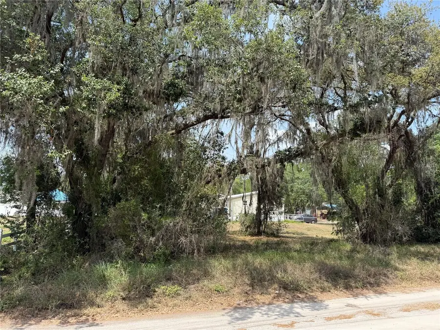 Vacant Land NW 8th Trail, Lake Panasoffkee, FL 33538 - Image #3