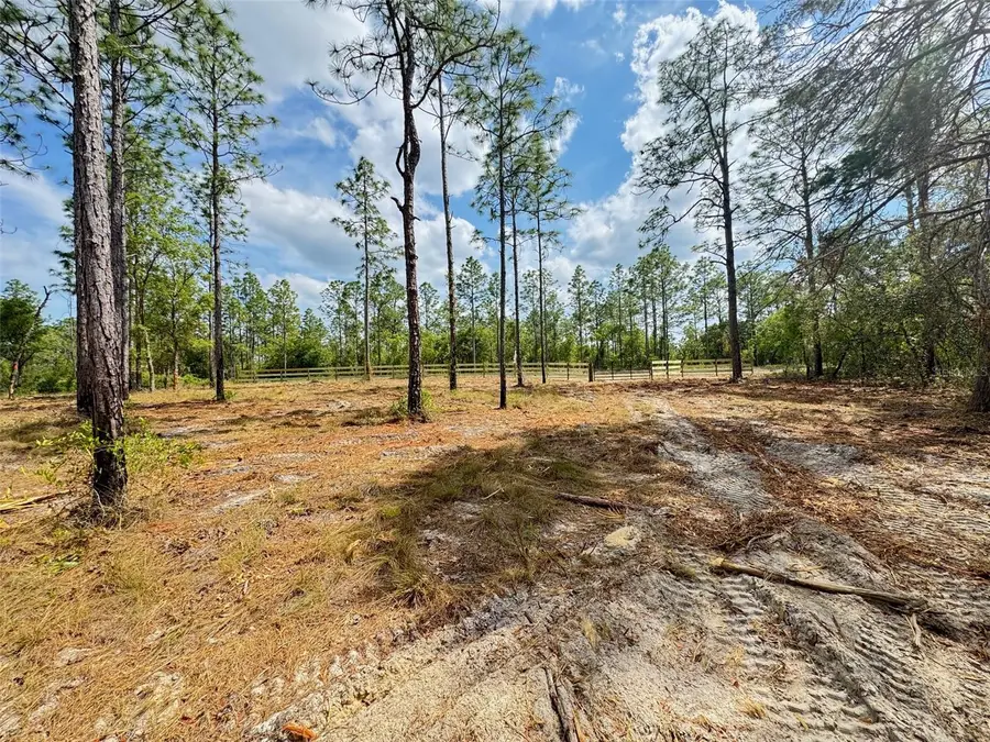 SW Edgewater Boulevard, Dunnellon, FL 34431 - #3