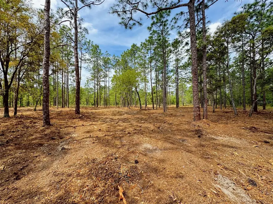 SW Deerpark Heights Road, Dunnellon, FL 34431 - #3