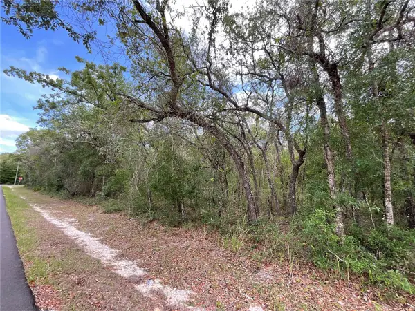 Faculty Street, WEBSTER, FL 33597