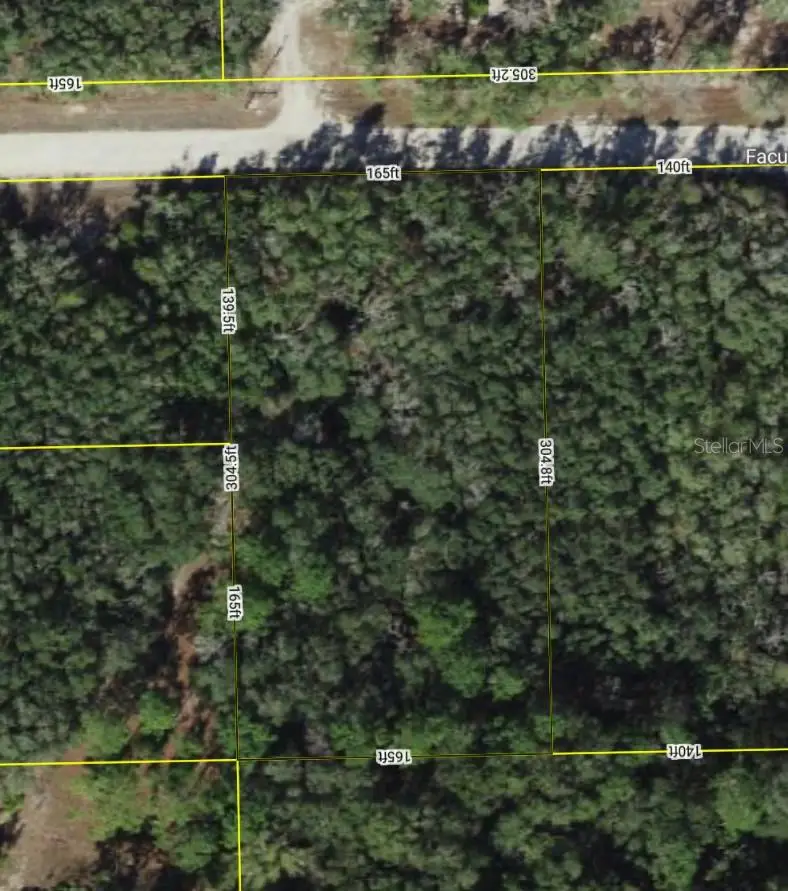 Faculty Street, Webster, FL 33597 - Image #2