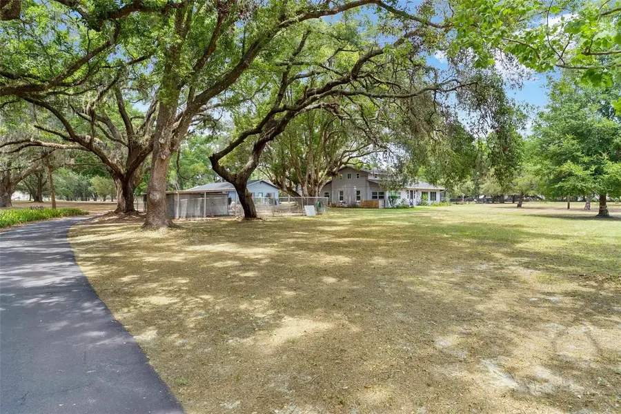 43411 State Road 19, Altoona, FL 32702 - Image #3