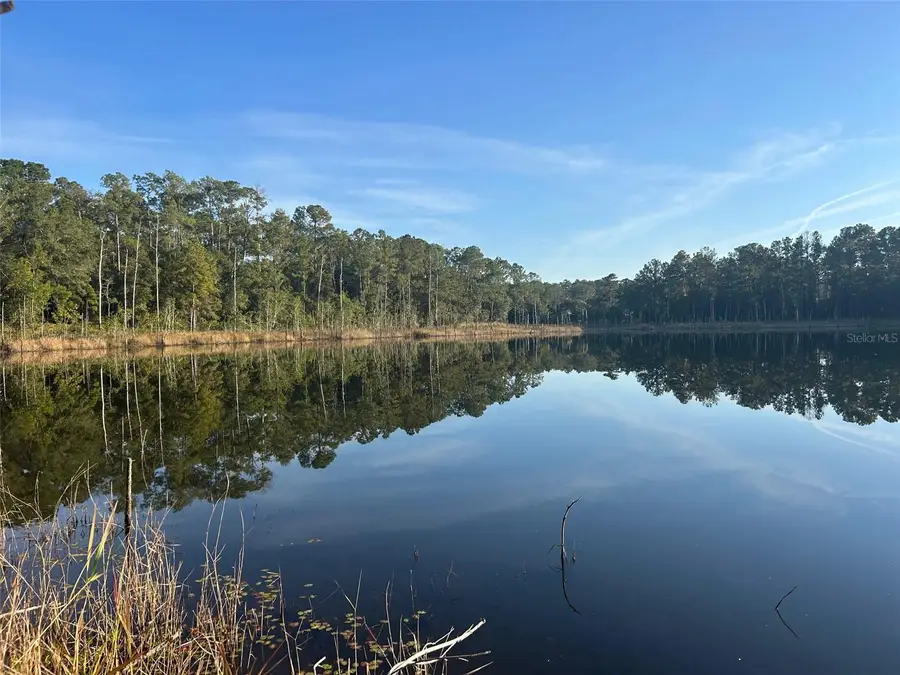 SE 49th Street Road, Ocklawaha, FL 32183 - Image #2
