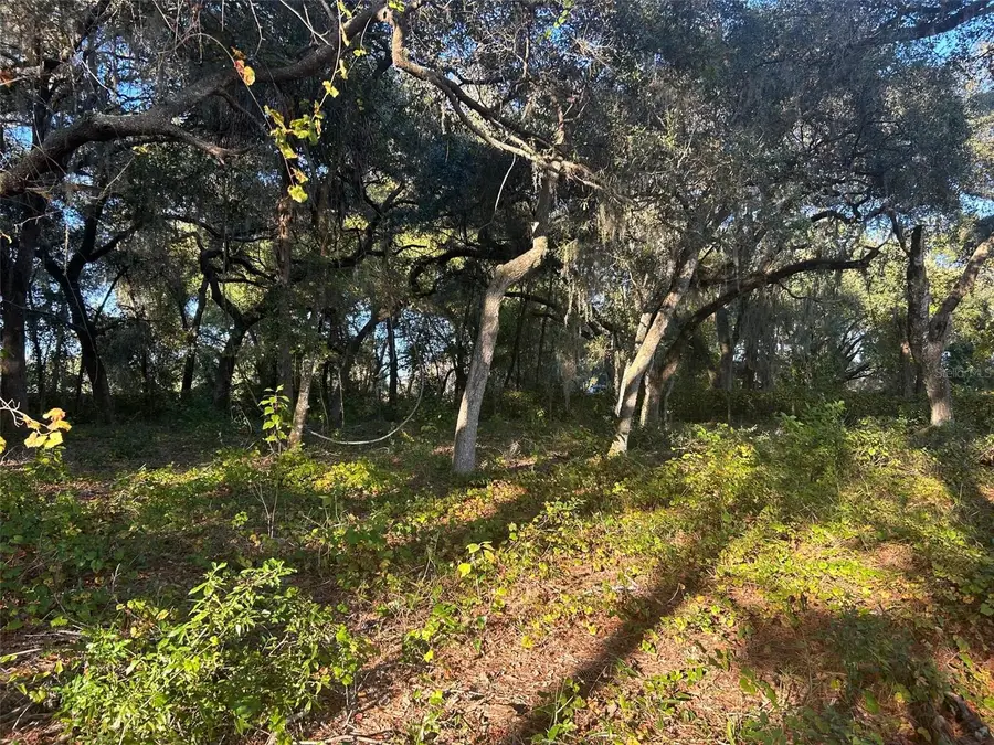 SE 49th Street Road, Ocklawaha, FL 32183 - Image #3