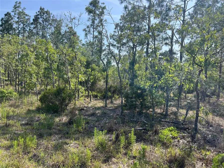 NE 151st Avenue, Williston, FL 32696 - Image #2