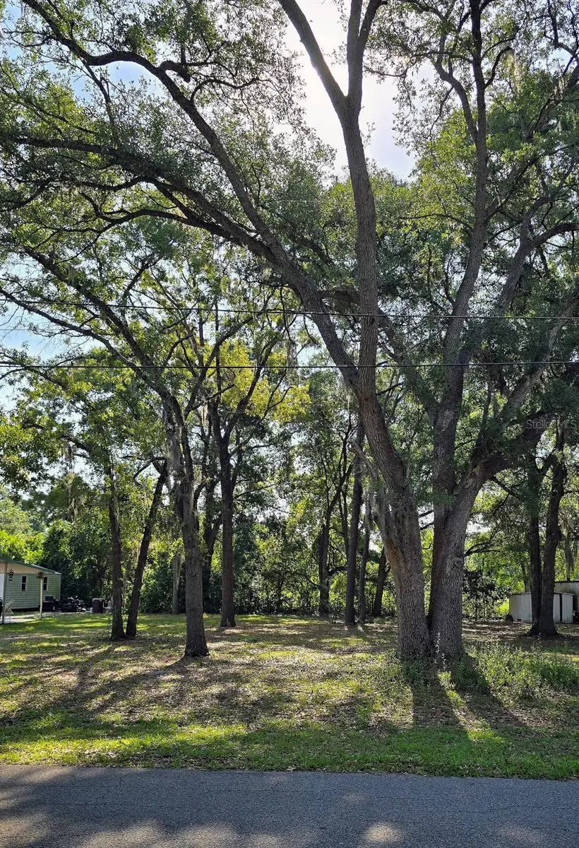 16055 SE 99th Terrace, Summerfield, FL 34491 - #1