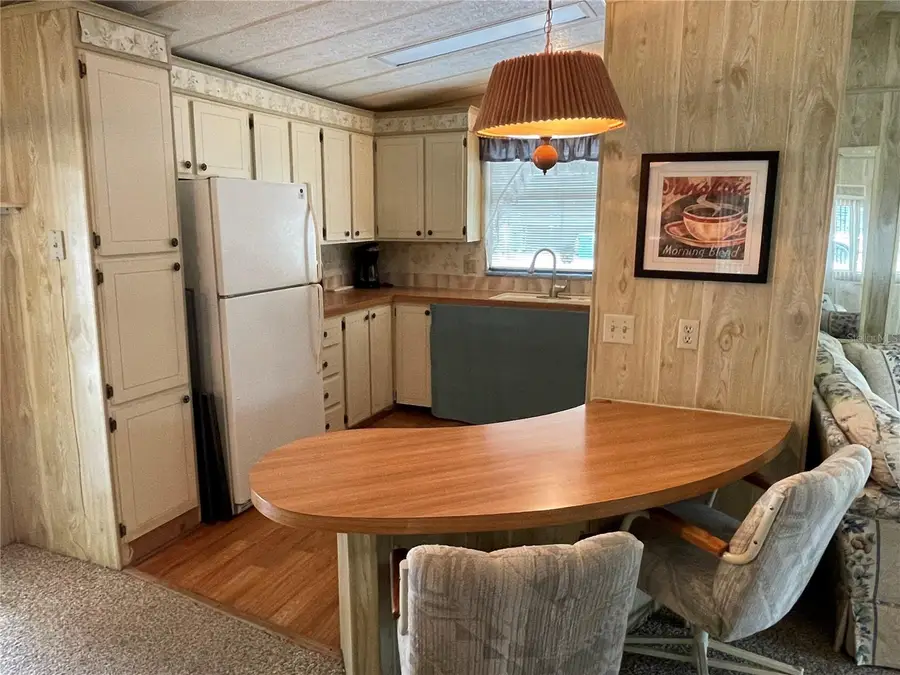 309 S Timber Trail, Wildwood, FL 34785 - Image #3