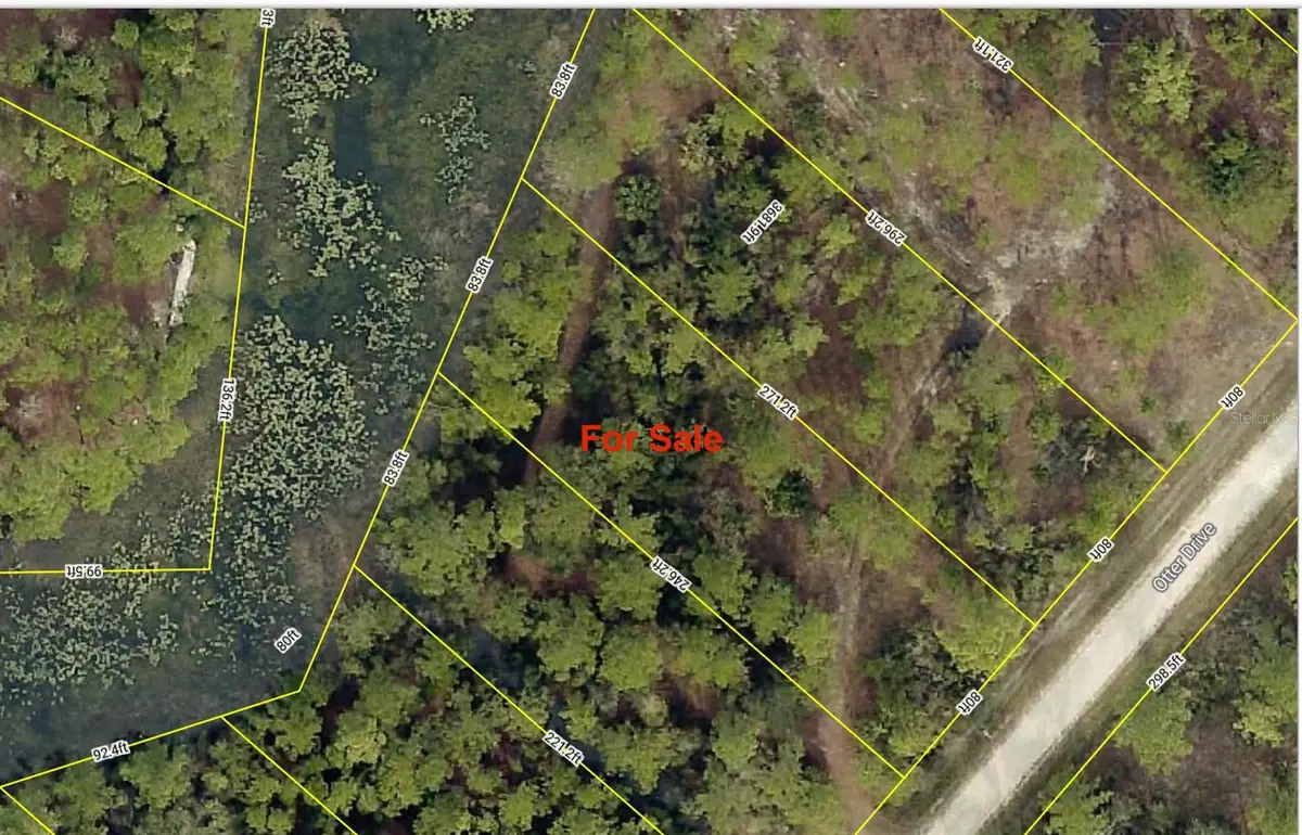 Otter Drive, Webster, FL 33597 - Image #1