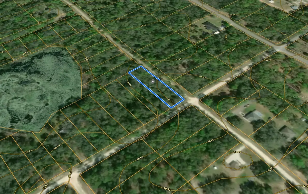 Smallman Street, Webster, FL 33597 - Image #1