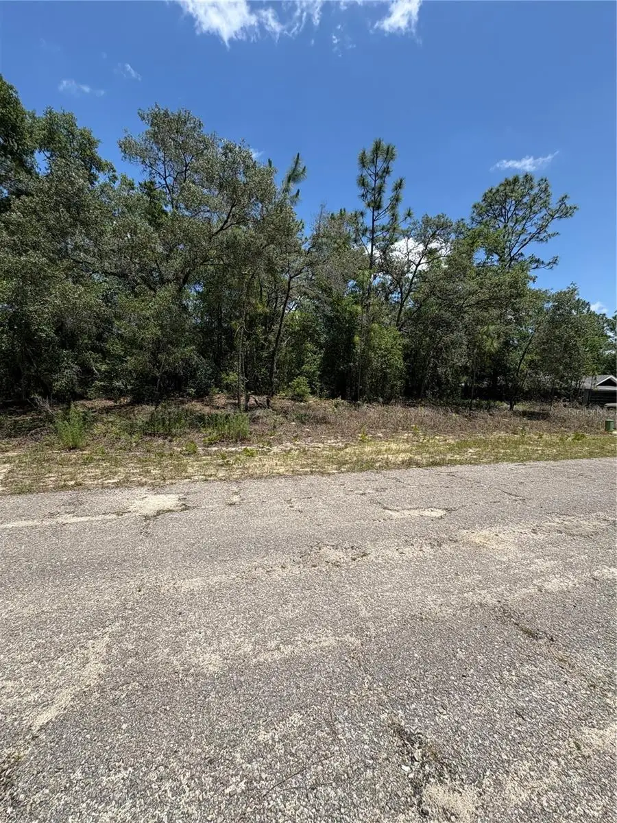 10965 N Mataro Avenue, Citrus Springs, FL 34434 - Image #3