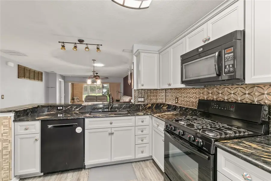 26917 White Plains Way, Leesburg, FL 34748 - Image #3