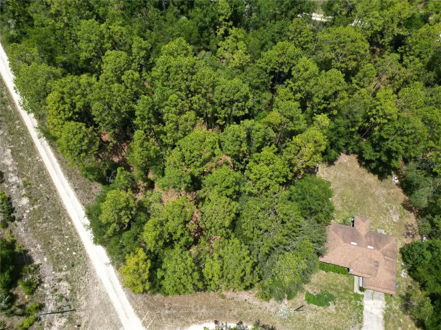 0000 SW 159th Ave Road, Ocala, FL 34481 - Image #2