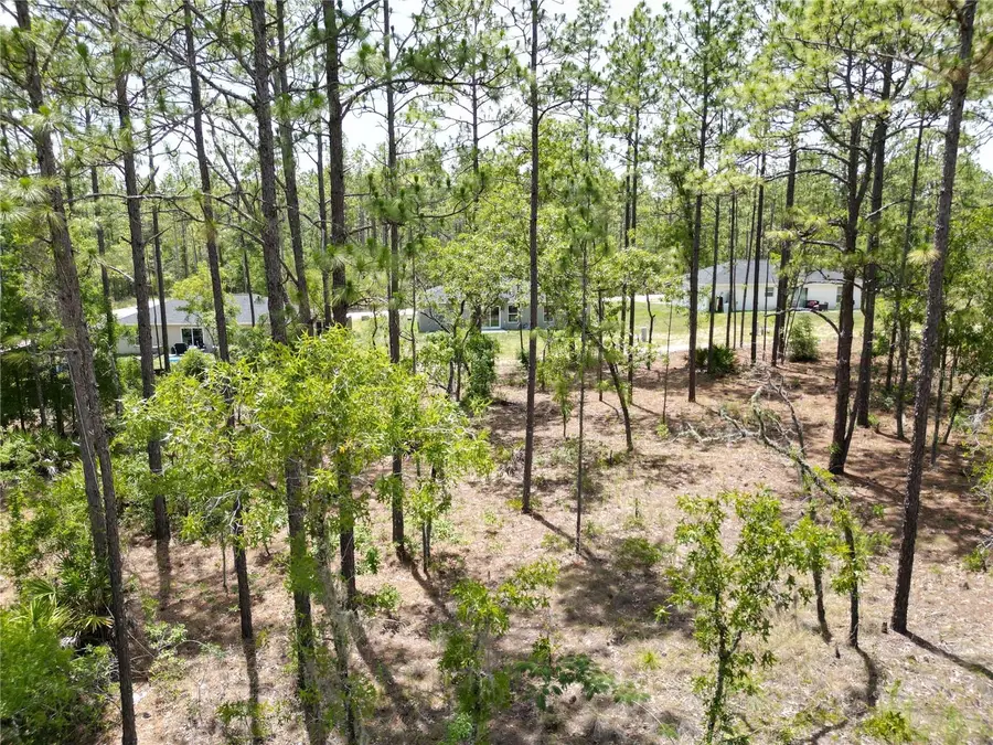 0000 SW 157th Avenue, Ocala, FL 34481 - Image #3