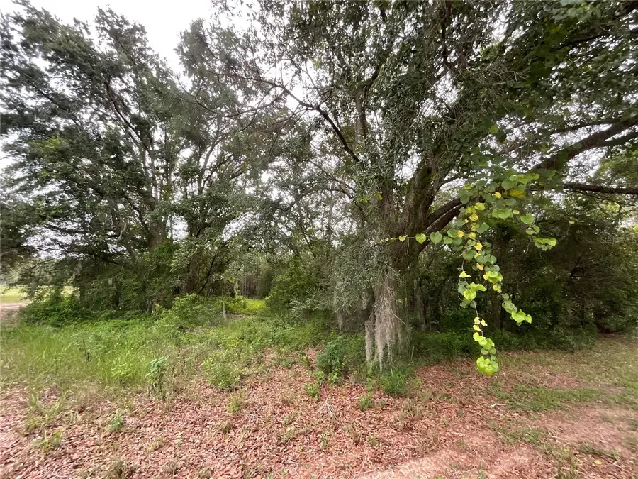 Howey Cross Road, Clermont, FL 34715 - Image #3