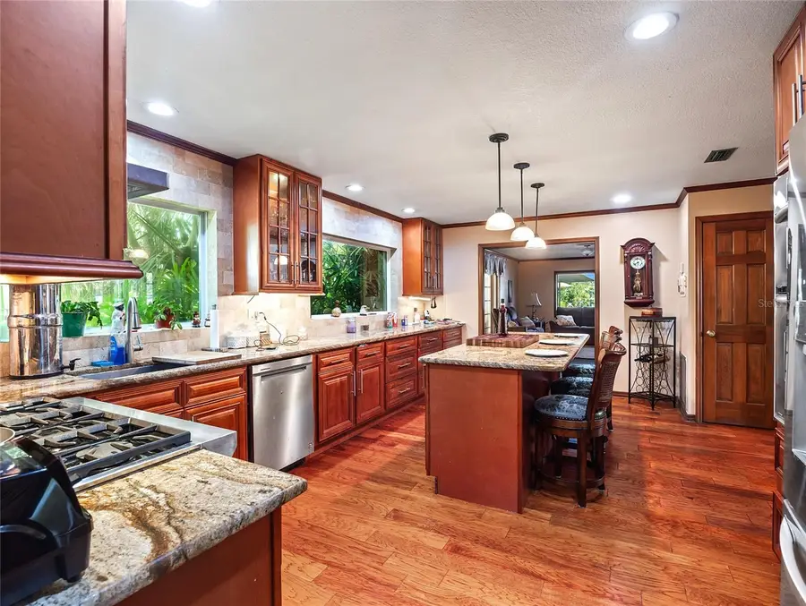 15733 Tower View Drive, Clermont, FL 34711 - #3