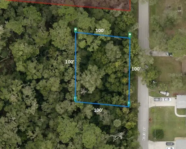 31637 Niles Street, SORRENTO, FL 32776