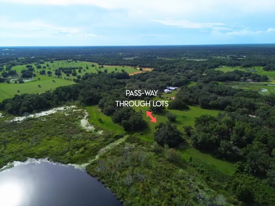 0 LOT 1 Catbrier Lane, Umatilla, FL 32784 - Image #3