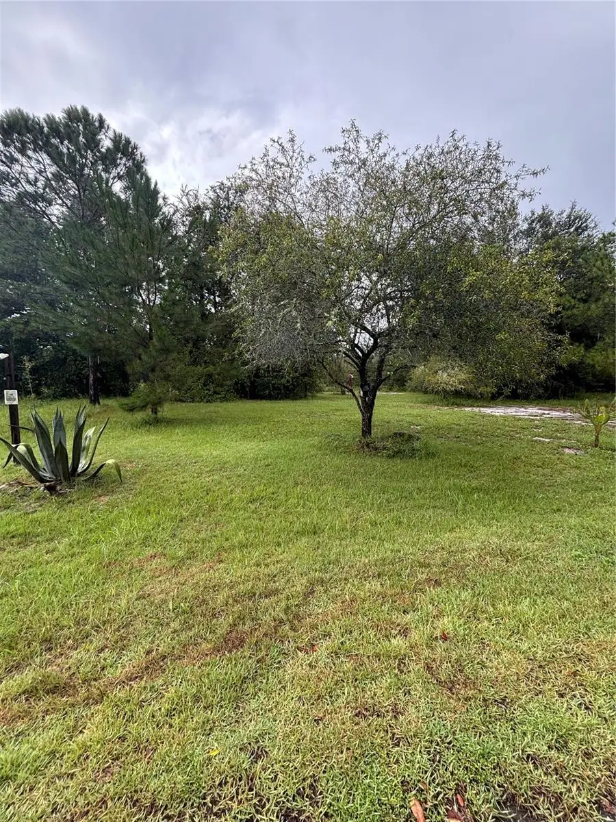 TBD Sequoia Drive Trace, Ocklawaha, FL 32179 - Image #3