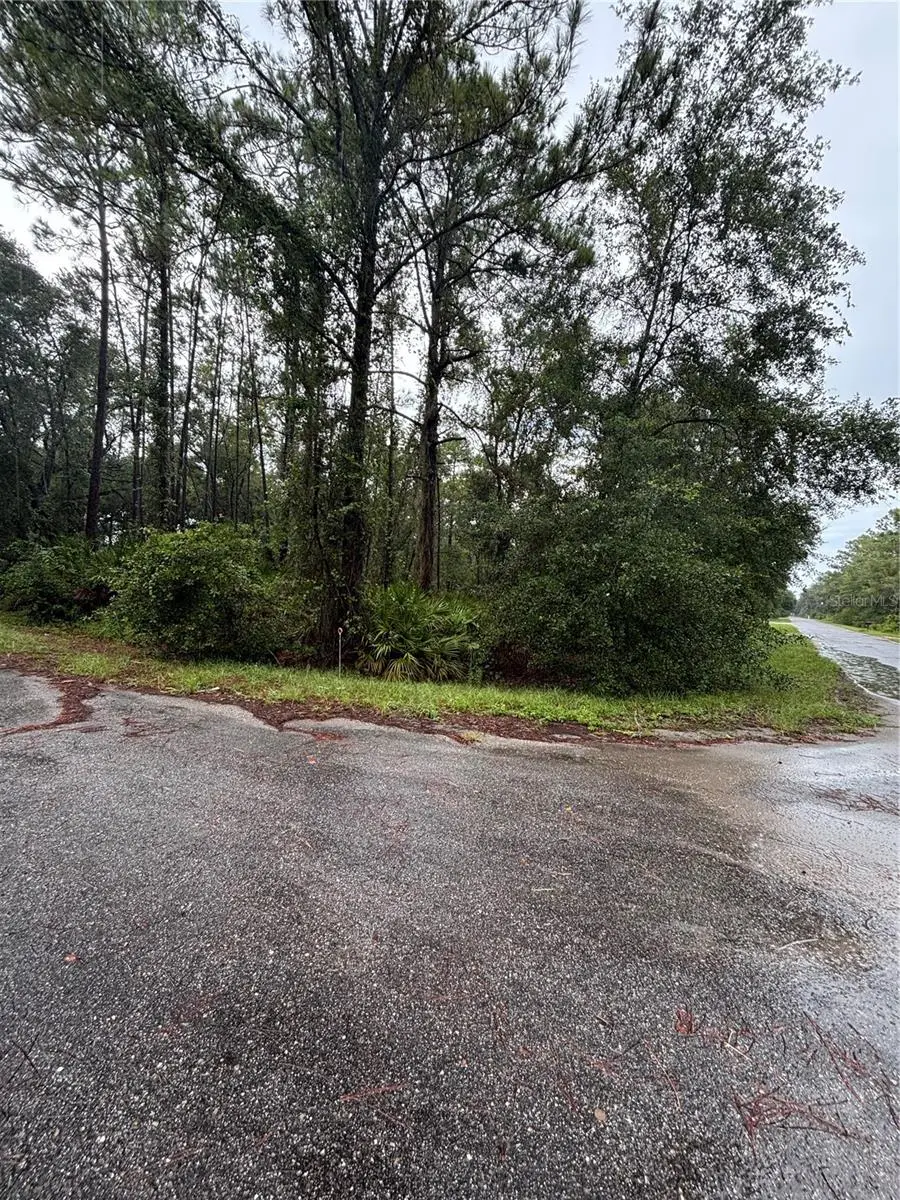 TBD Sequoia Drive Trail, Ocklawaha, FL 32179 - Image #1