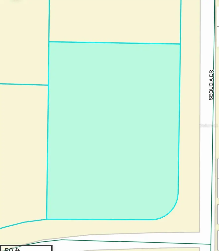 TBD Sequoia Drive Trail, Ocklawaha, FL 32179 - Image #2