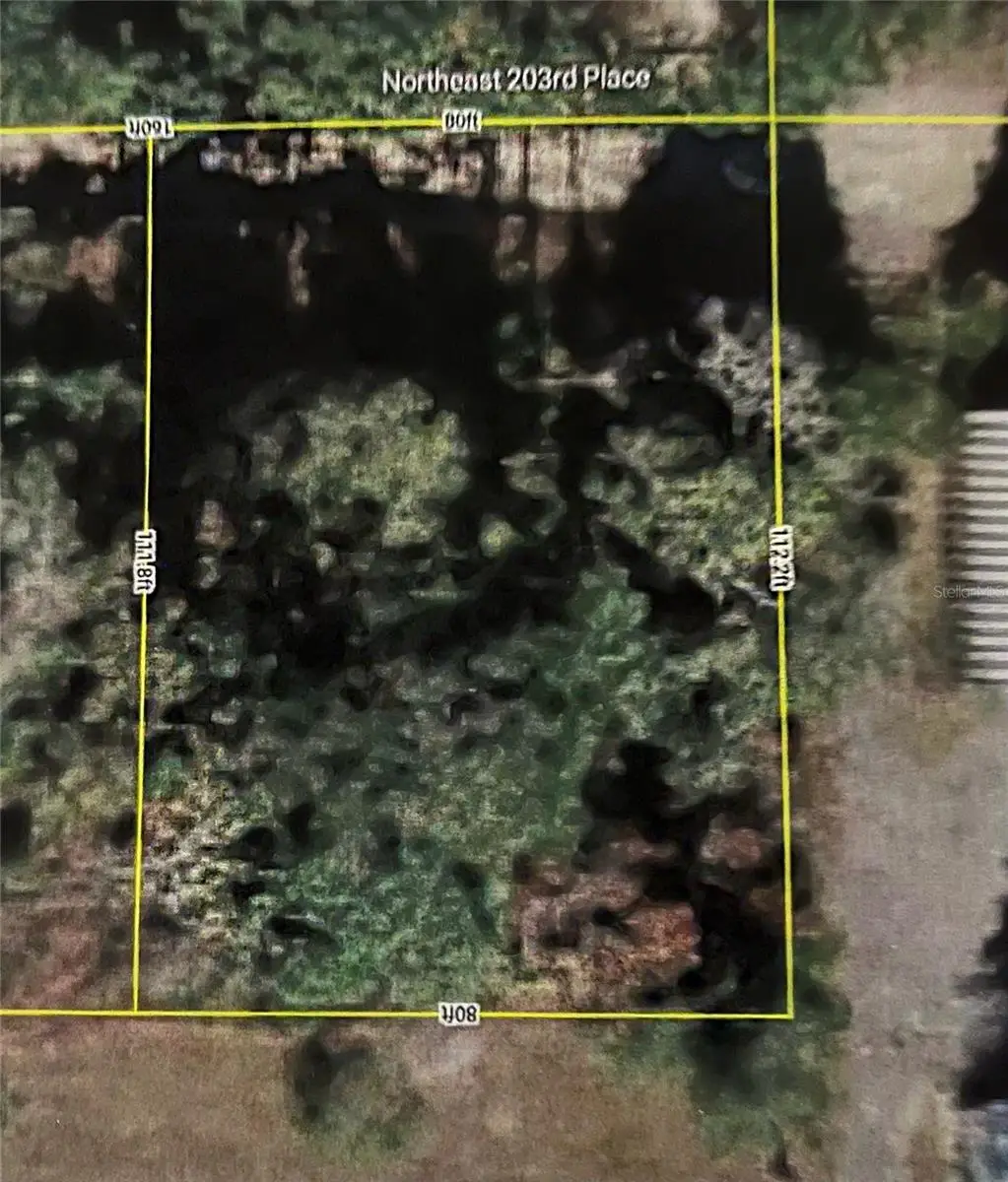 00 NE 203rd Place, Fort McCoy, FL 32134 - Image #1