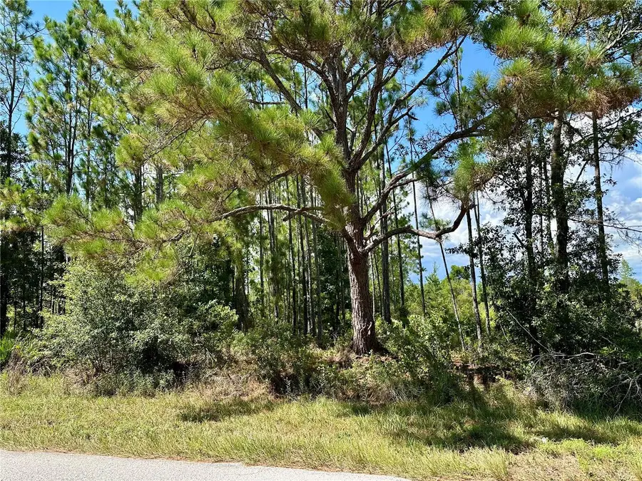 Oil Well Road, Clermont, FL 34714 - Image #2