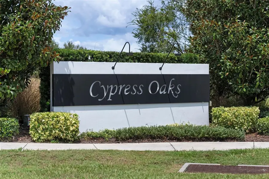 9737 Kinmore Drive, Groveland, FL 34736 - Image #2