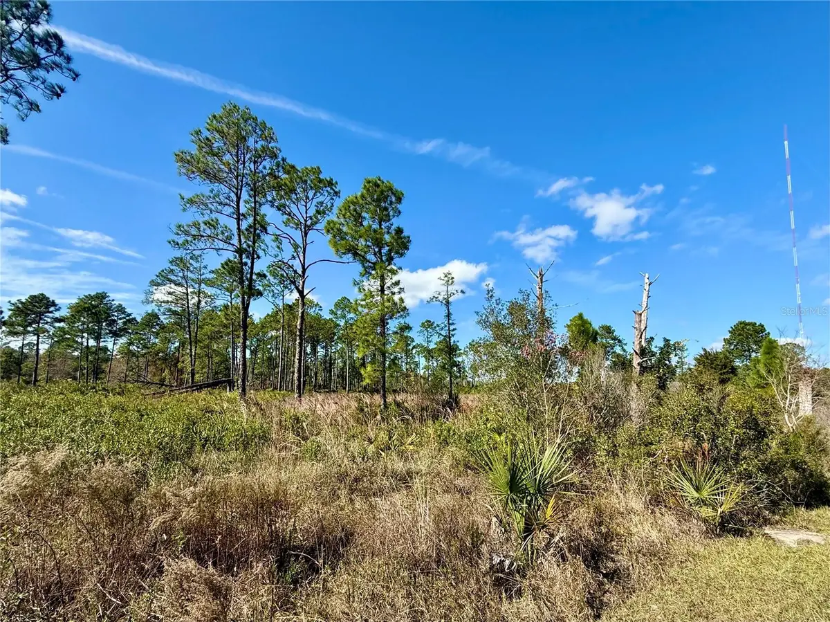 LOT 8 Honeysuckle Street, Eustis, FL 32736 - Image #1