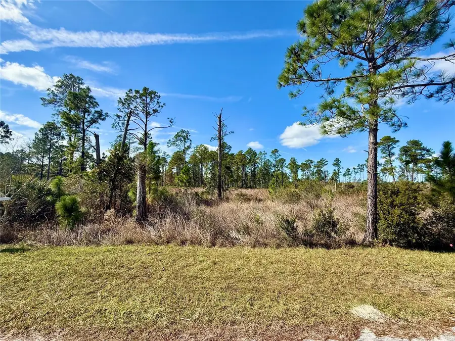 LOT 8 Honeysuckle Street, Eustis, FL 32736 - Image #3