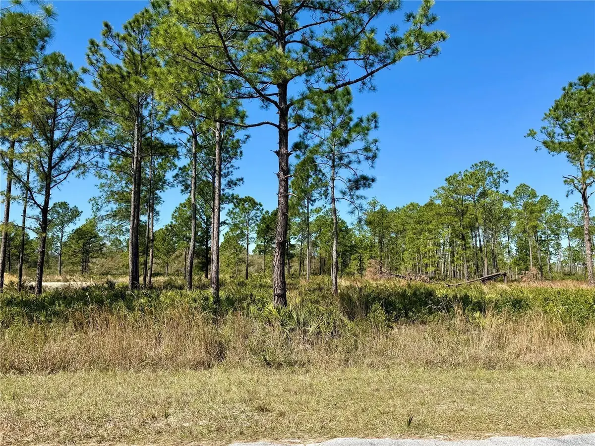 LOT 9 Honeysuckle Street, Eustis, FL 32736 - Image #1