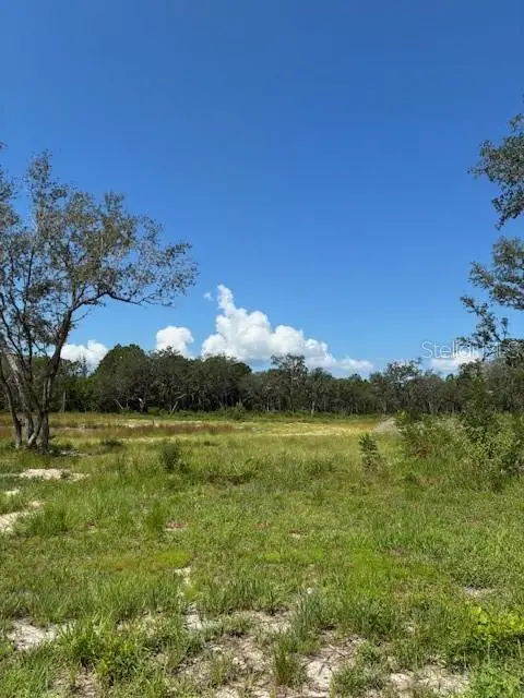 Lake Yale Road, Umatilla, FL 32784 - Image #1