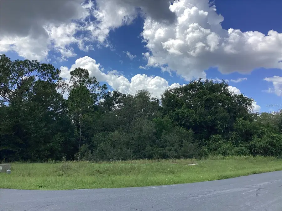 0 Hickory Ridge Drive, Fruitland Park, FL 34731 - Image #3