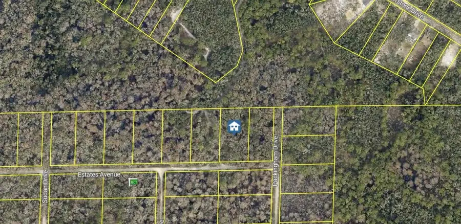 Rose Bloom Avenue, Webster, FL 33597 - Image #2