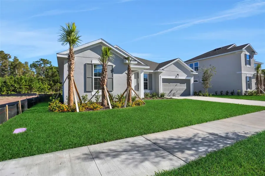 17397 Crisp Apple Lane, Land O Lakes, FL 34638 - Image #2