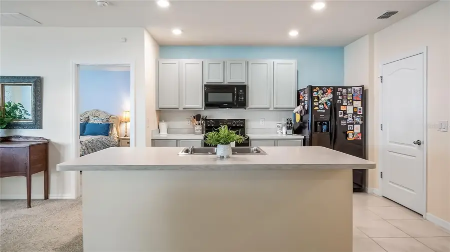 1527 White Hawk Way, Groveland, FL 34736 - Image #3