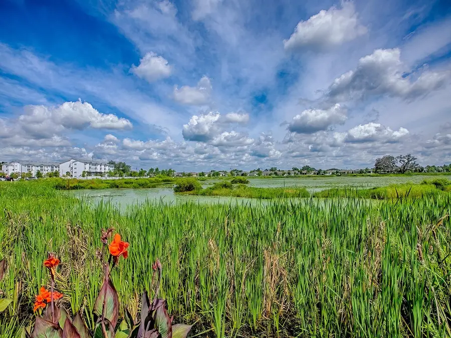 5230 Dragonfly Drive, Wildwood, FL 34785 - Image #3