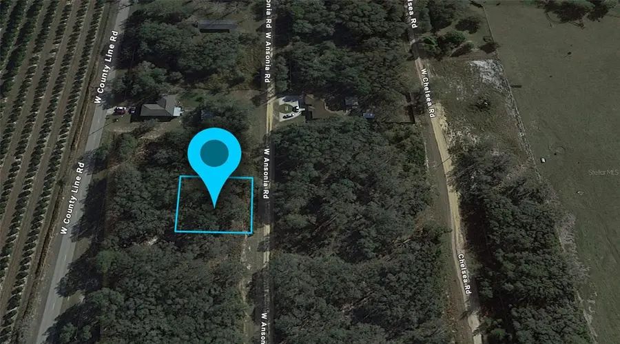 3180 W Ansonia Road, Avon Park, FL 33825 - Image #3